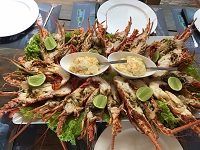 Las Terrenas XO Restaunt Lobster