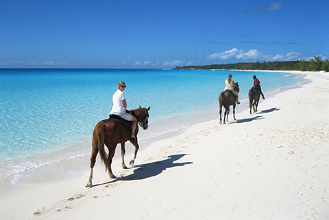 Horseback Riding Punta Cana Beach
