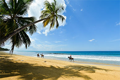 Beach-with-tourist-riding-horses