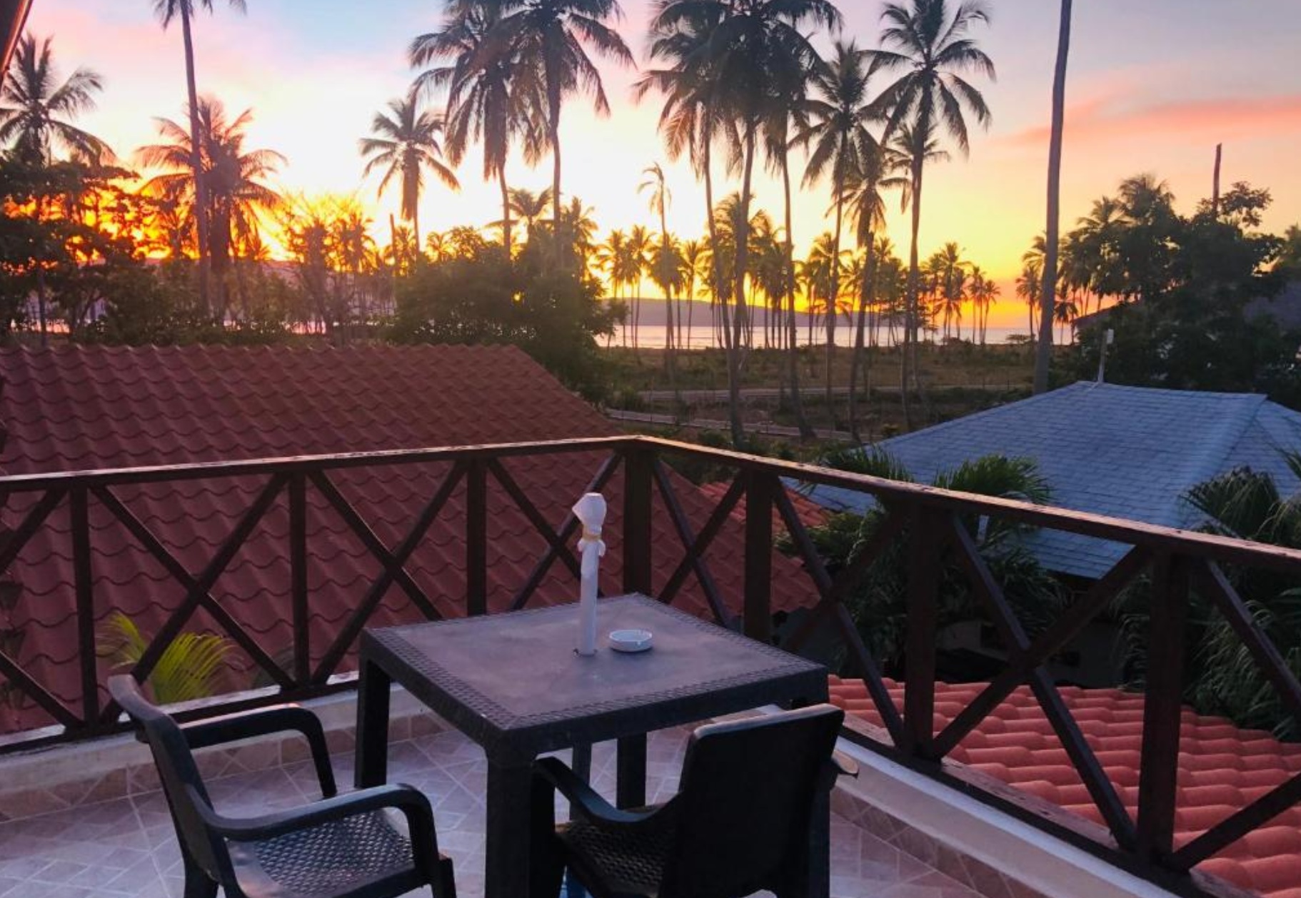 21-palms-Las-Galeras