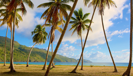 Las Galeras