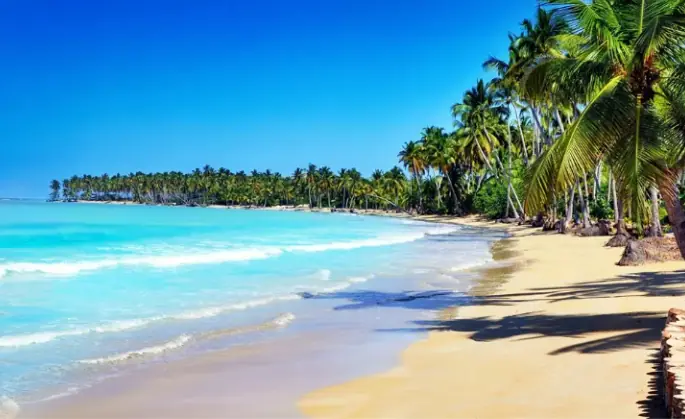 Palm-lined beach with turquoise water in Las Terrenas